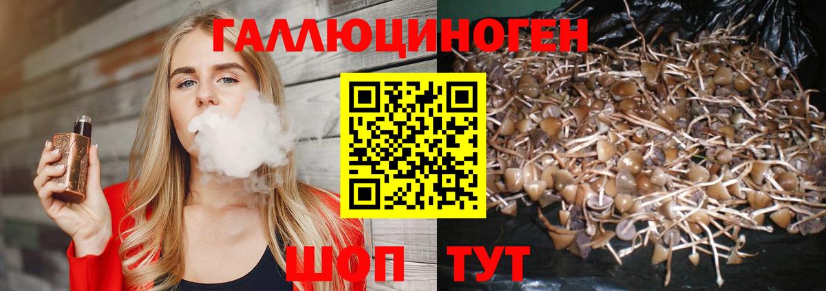 Галлюциногенные грибы мицелий Дзержинск